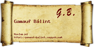 Gamauf Bálint névjegykártya